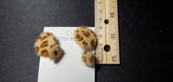 Big & Small Leopard patterned Stud Earrings C2-2