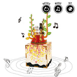 DIY Music Box-AM302-Spring