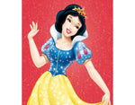 5D Fashion DIY Diamond Painting Snow white  T-094